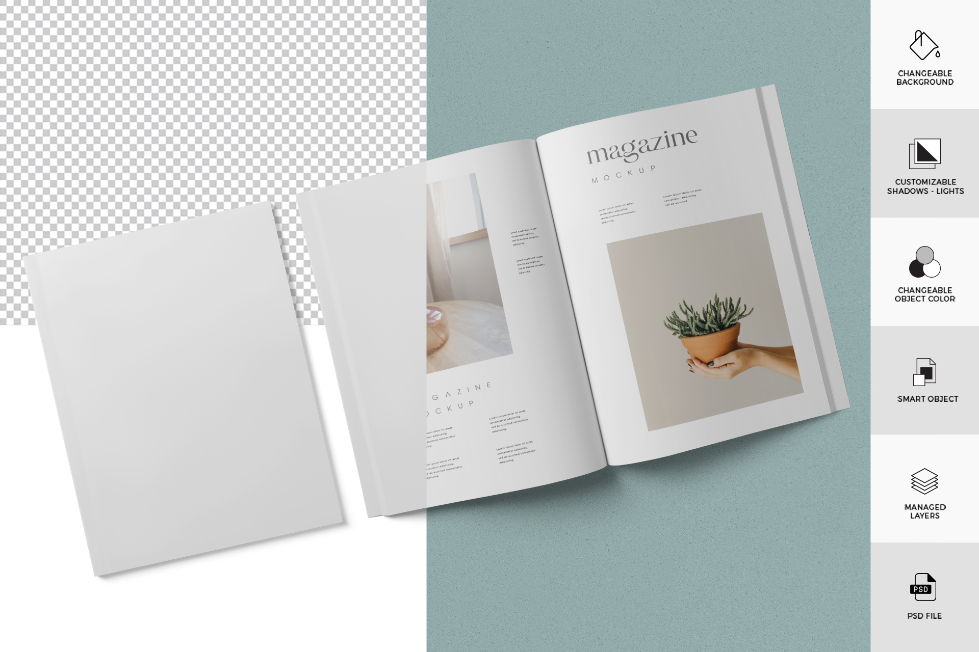 editorial mockup