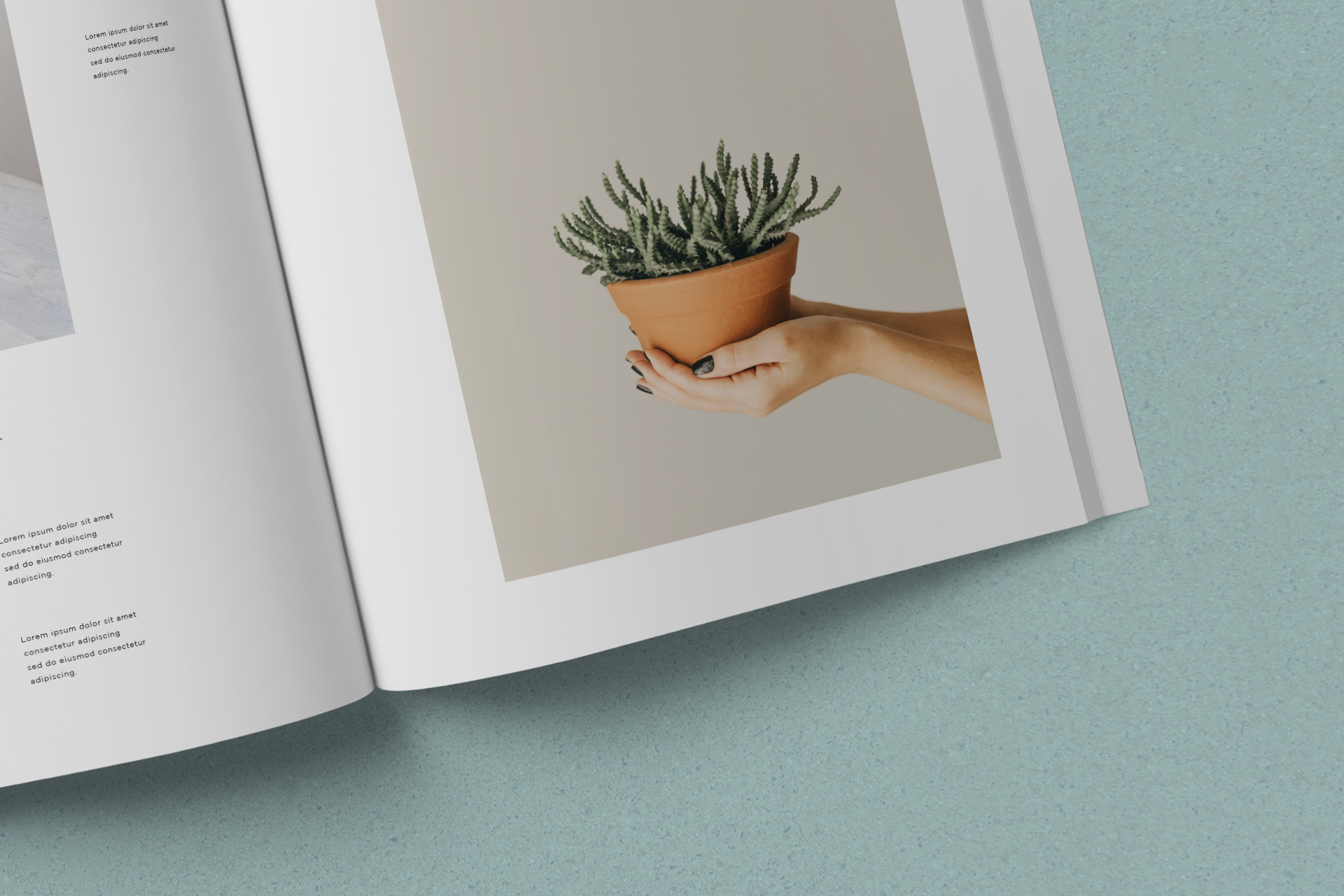 editorial mockup