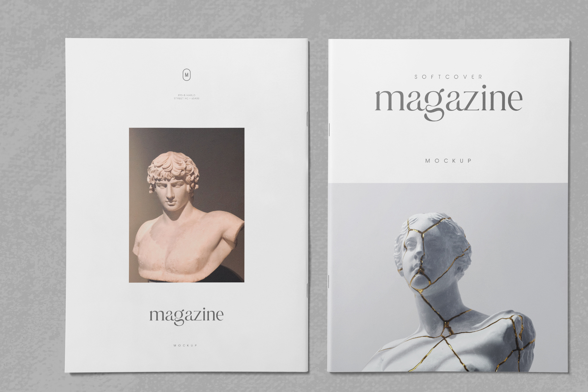 cover and inner pages PSD