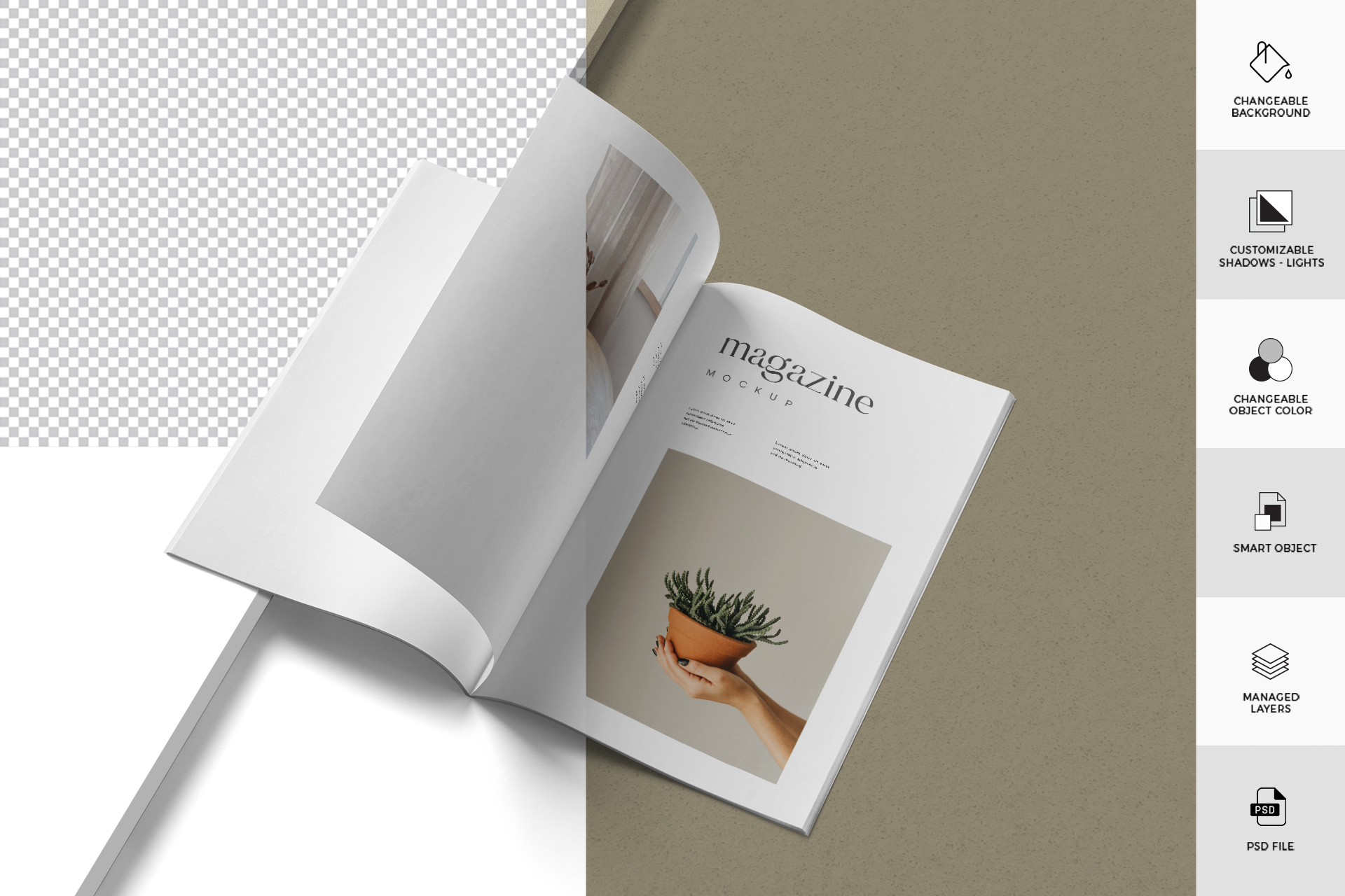 cover mockup