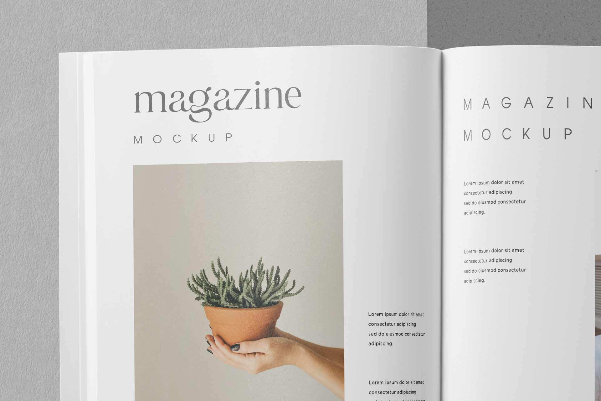 clean editorial design