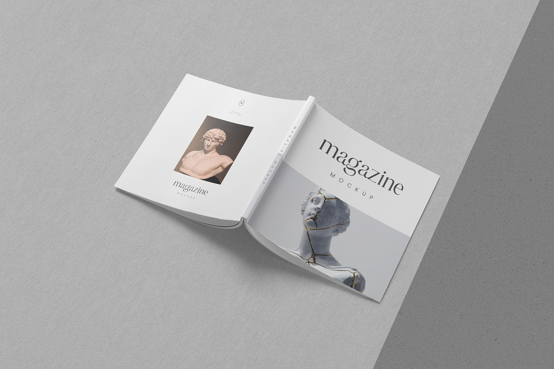 Square Magazine Open Cover & Back Design
