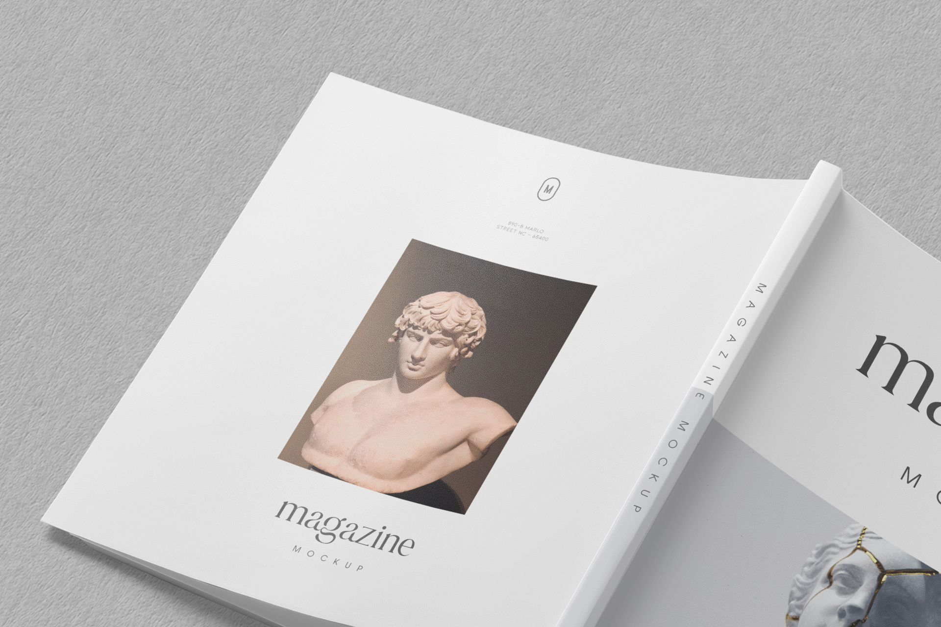 branding presentation PSD