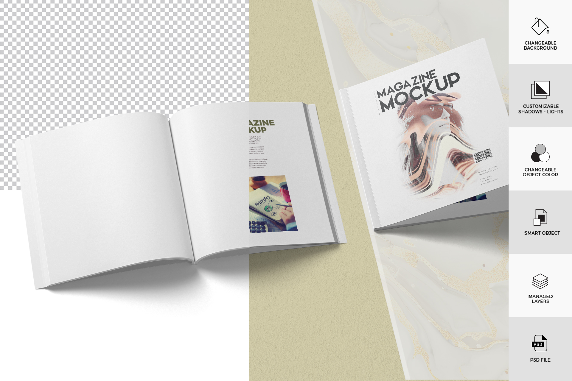 cover mockup