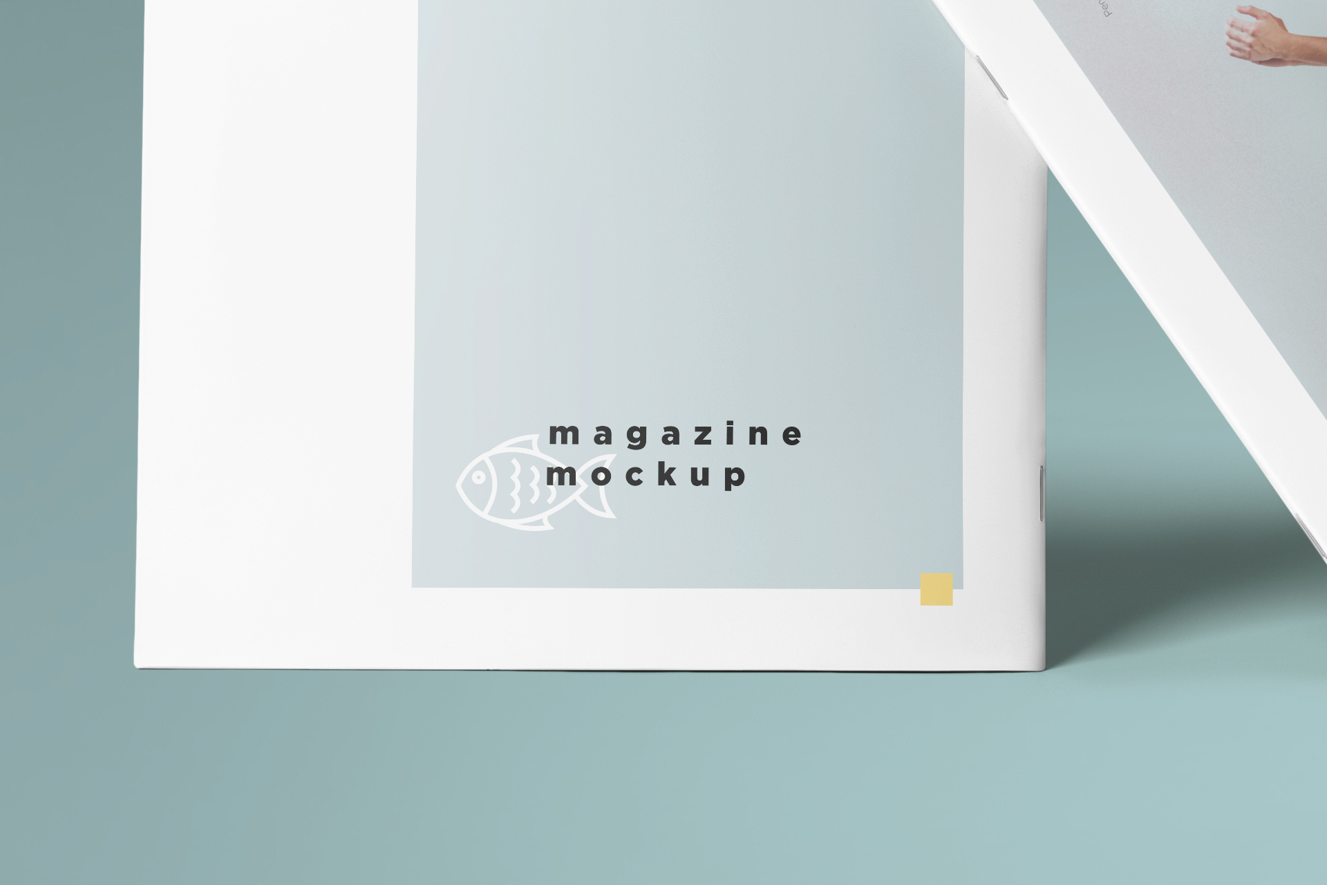 book cover mockup