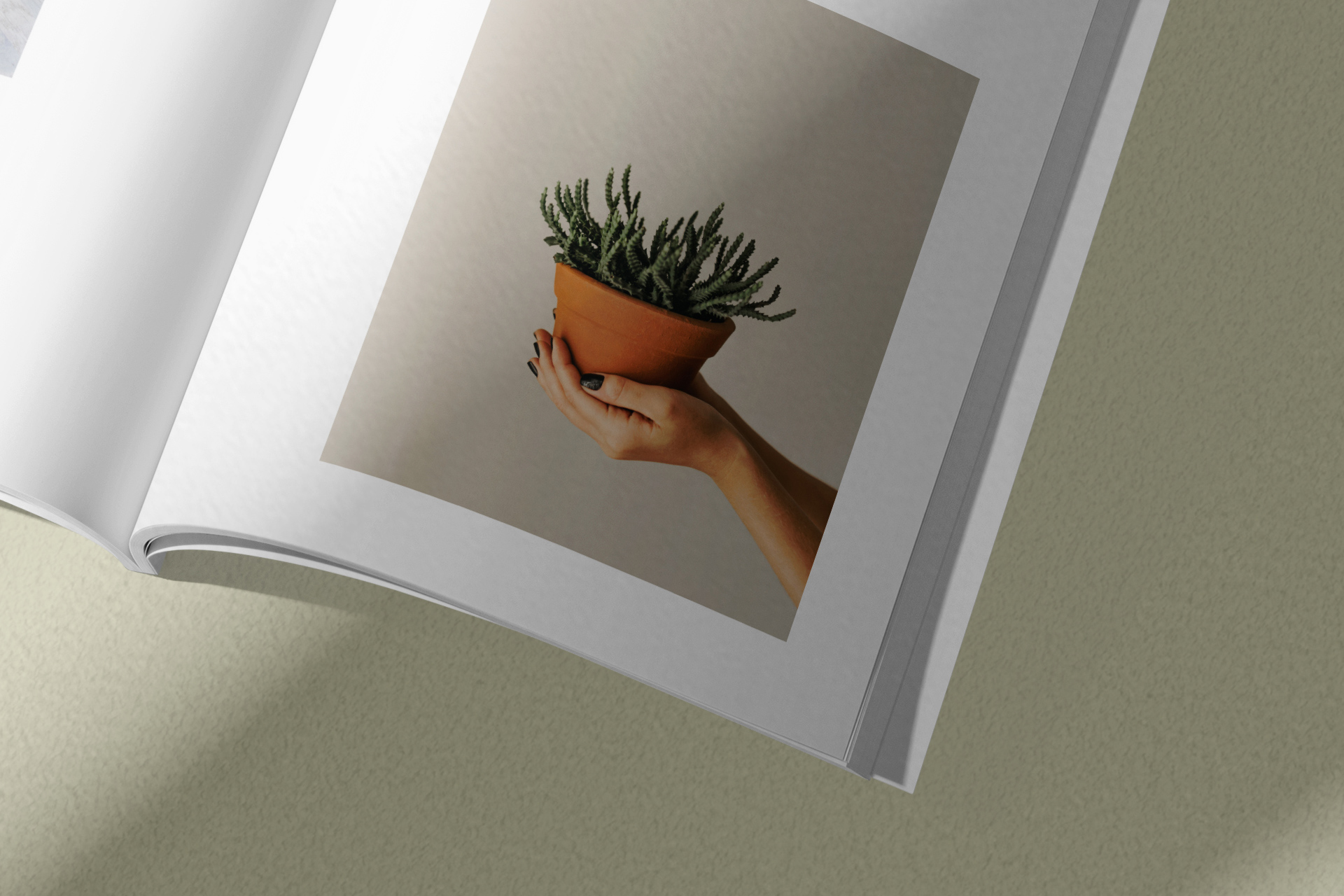 editorial template
