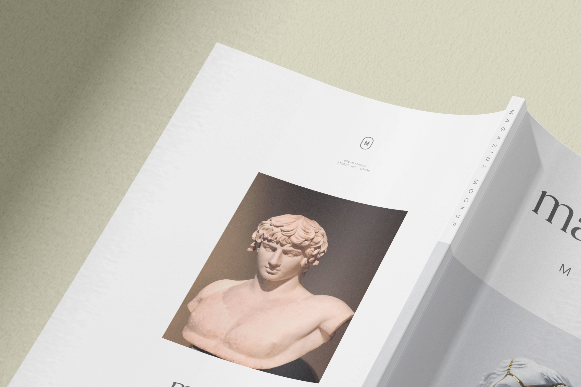 aesthetic statue cover