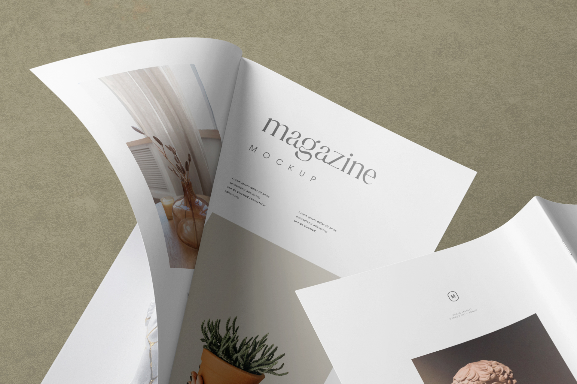 brochure design mockup