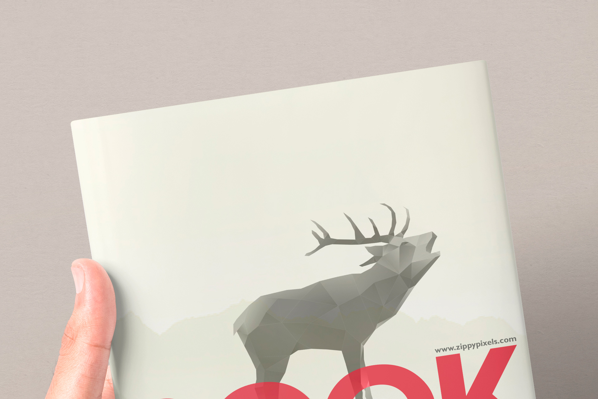 book mockup