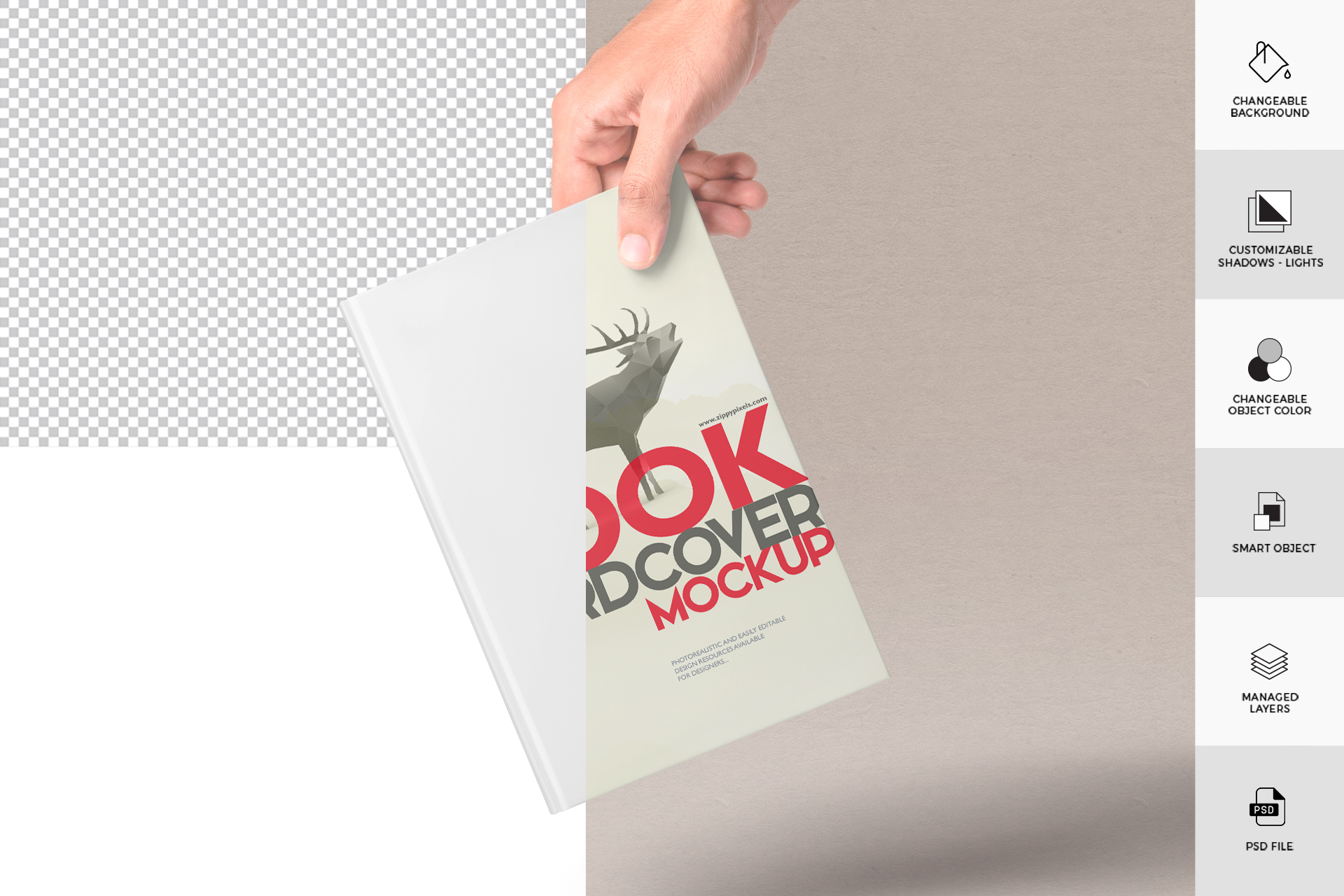 author book mockup