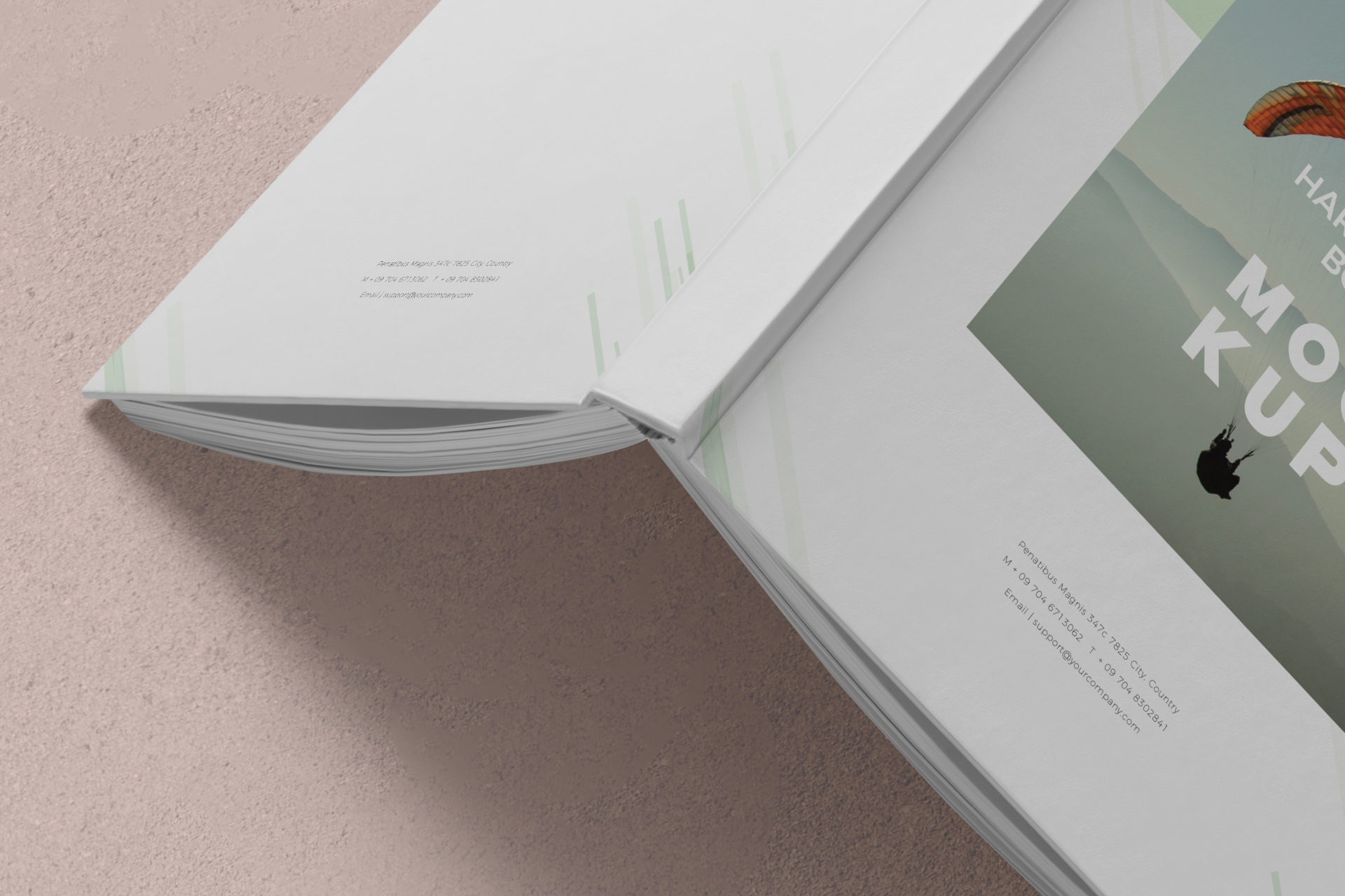 book mockup