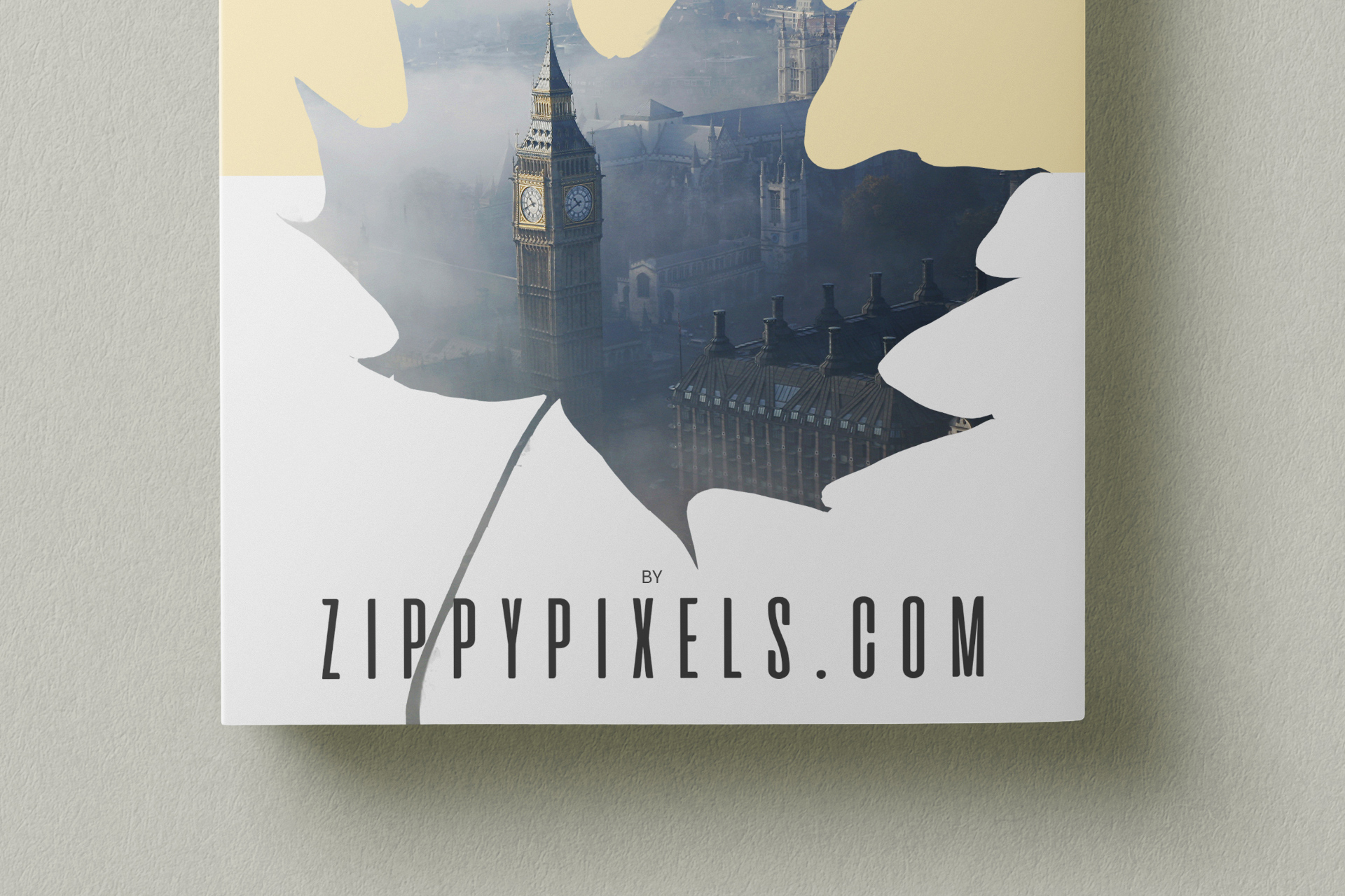 author book showcase