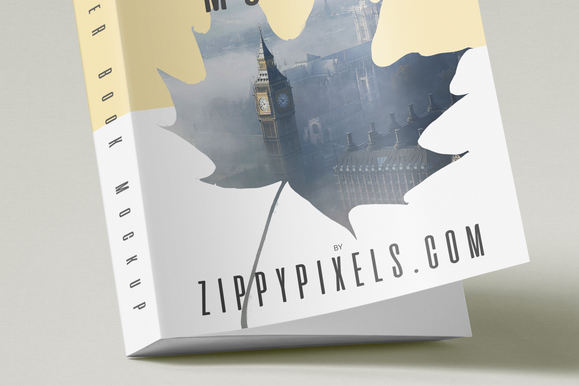 book mockup