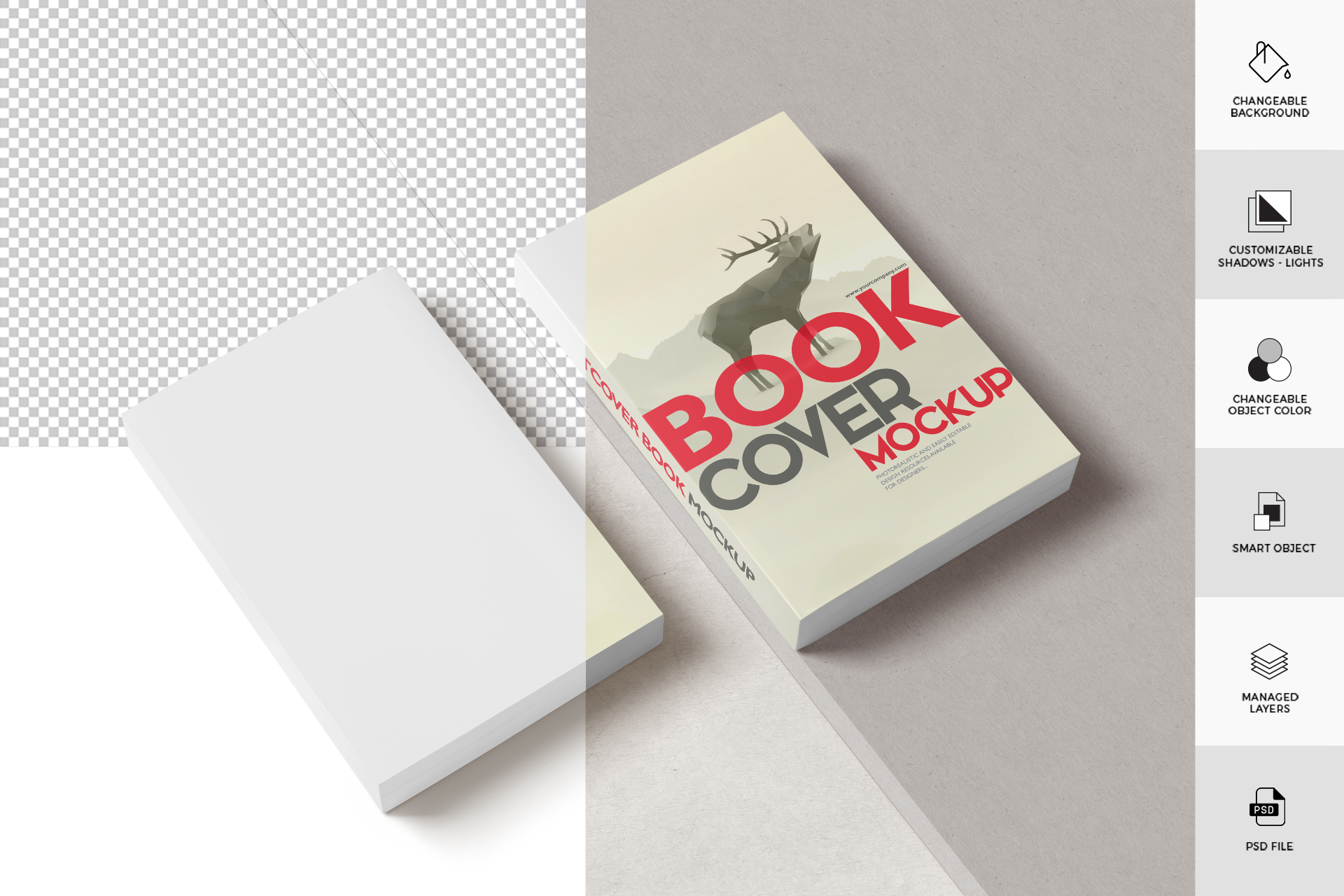 author book mockup