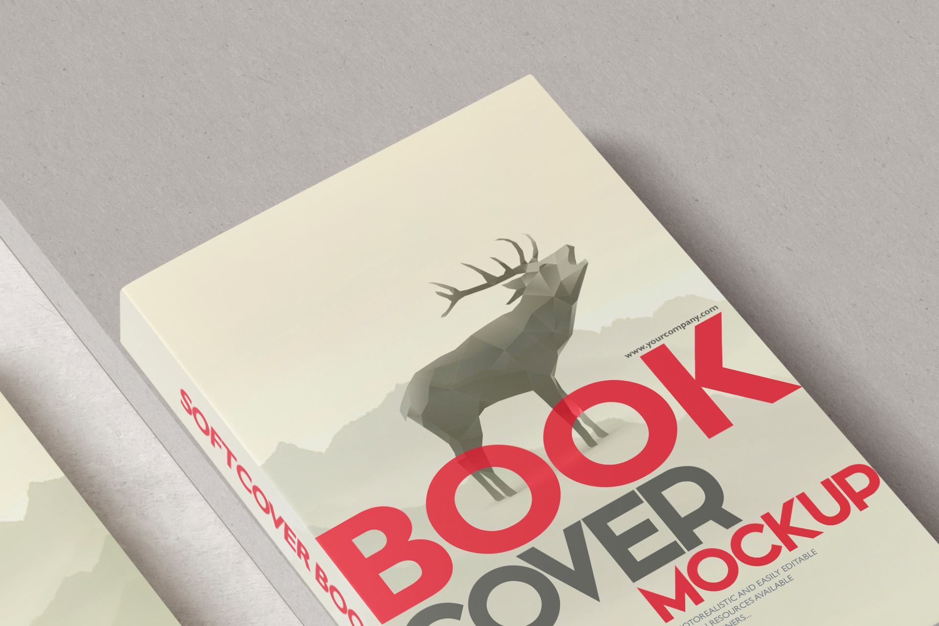 author book mockup