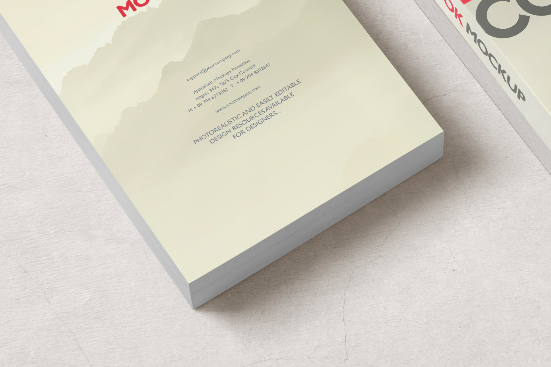 author book mockup