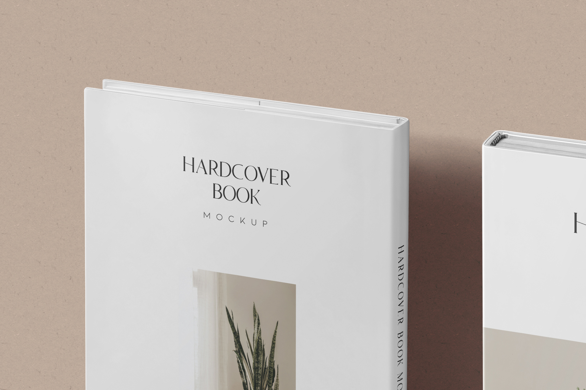 book mockup