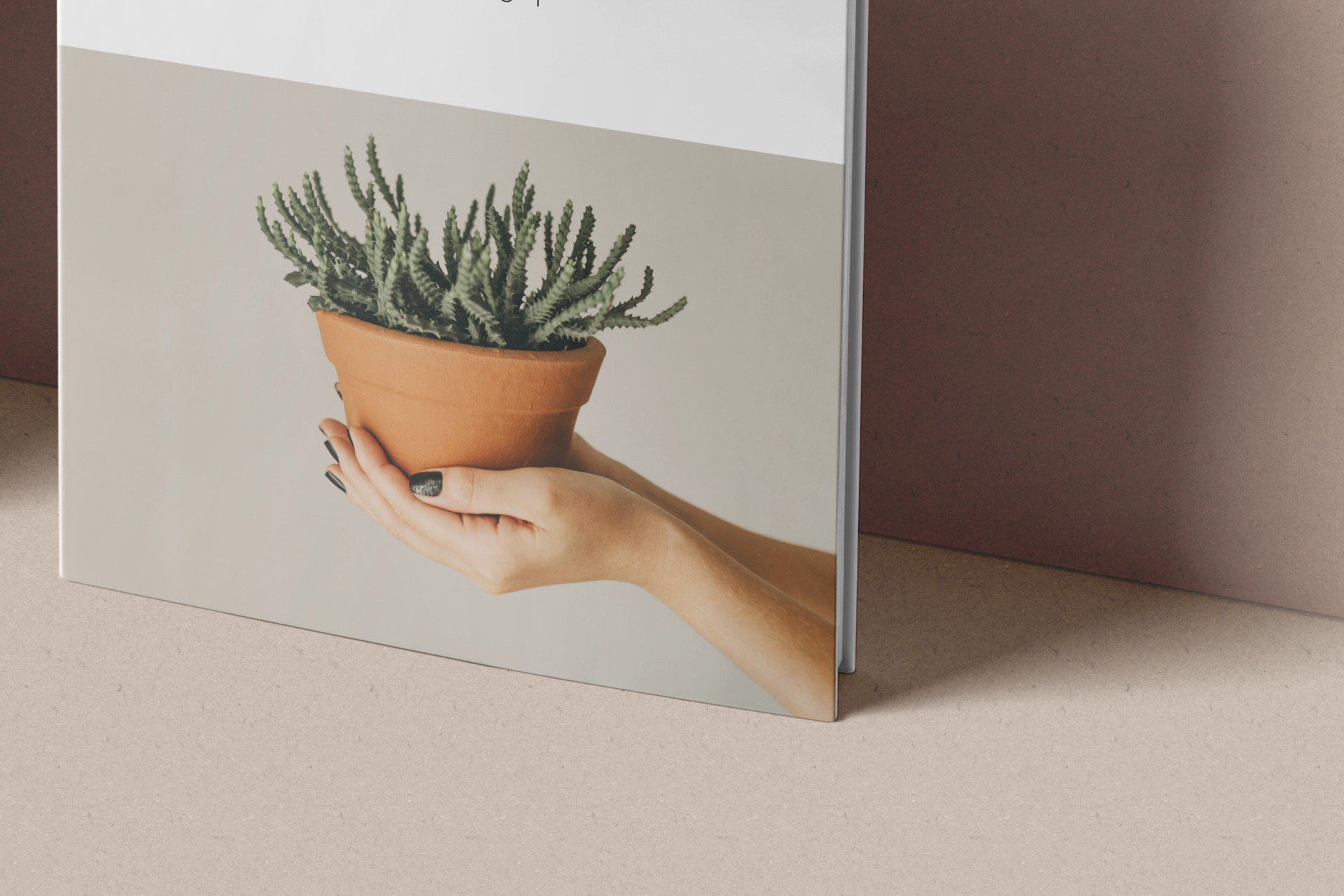book mockup