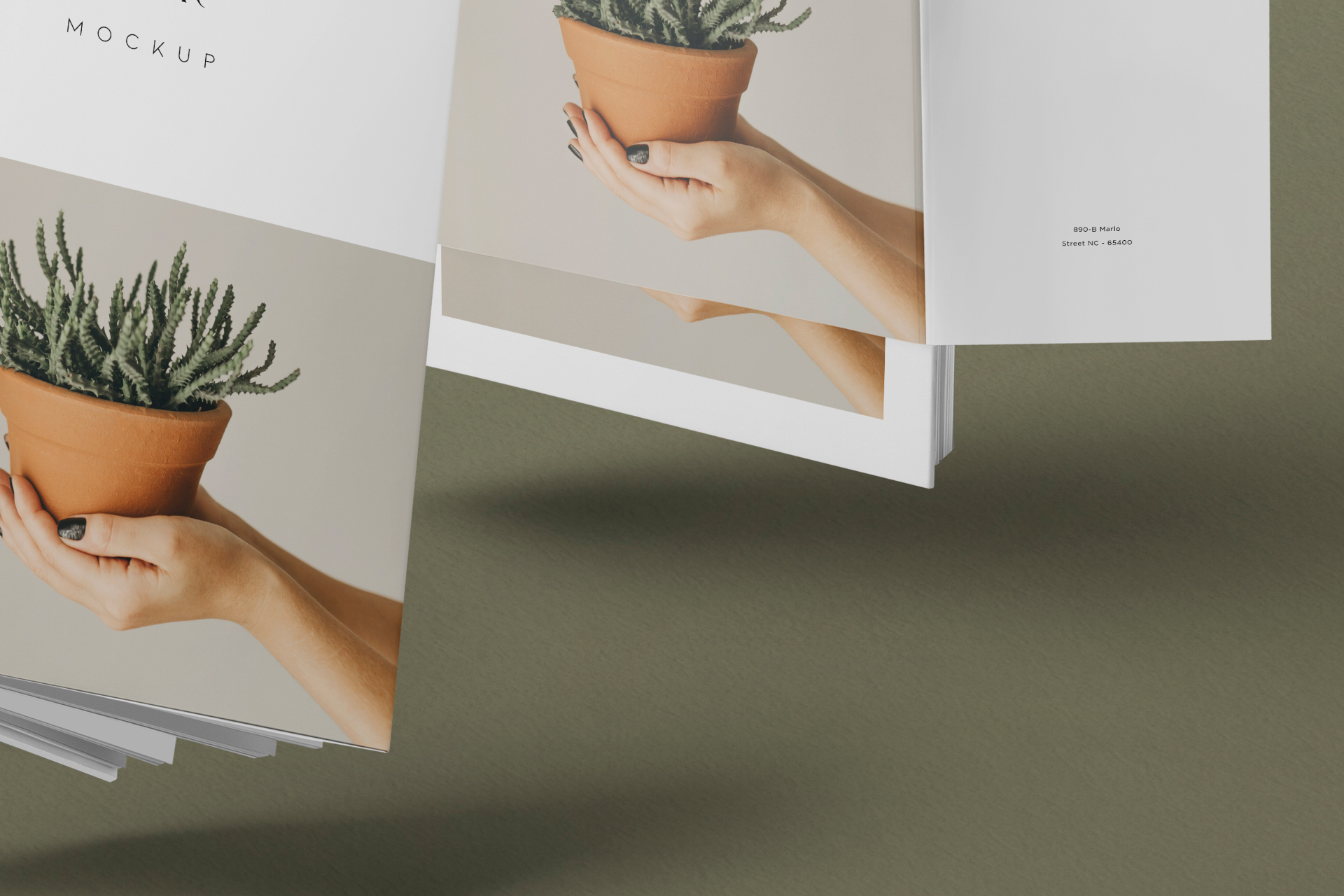 book mockup