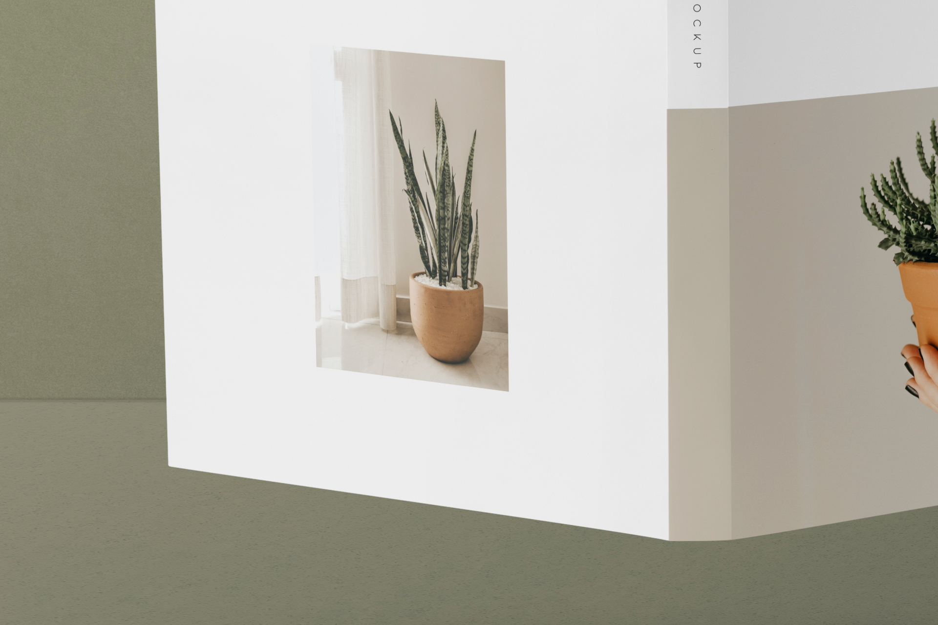 book jacket mockup