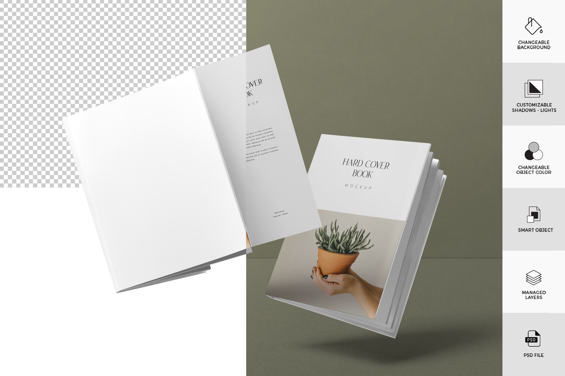 book mockup