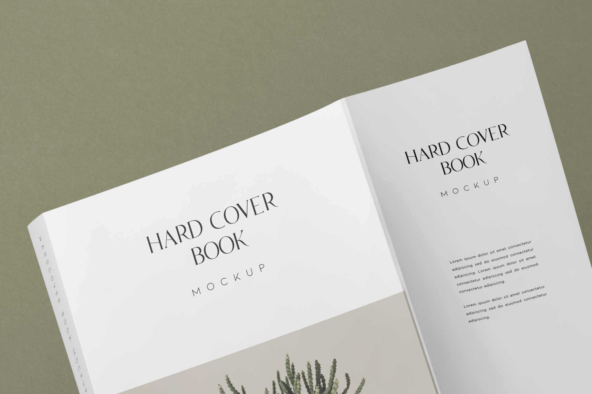 book mockup