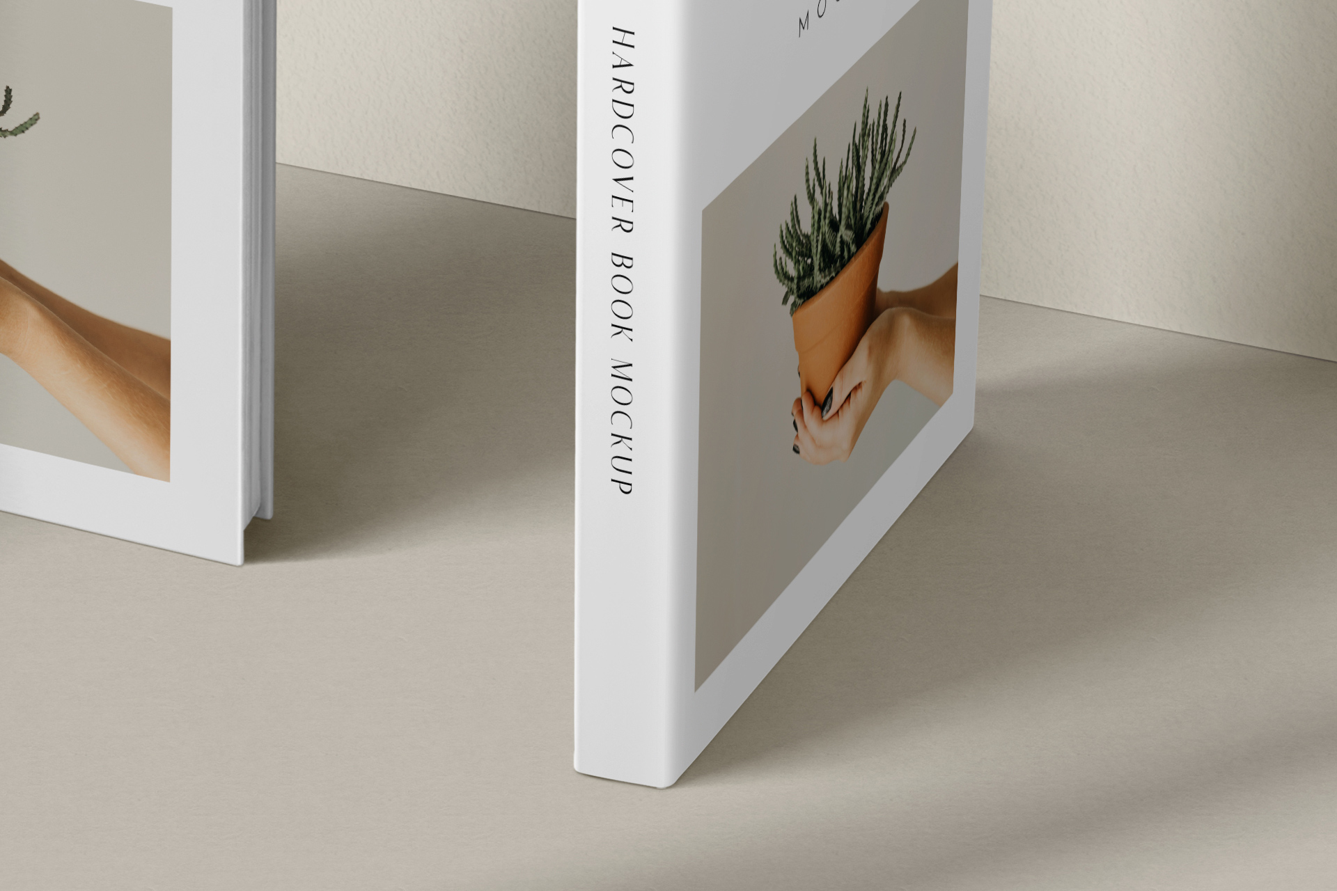 3D book mockup