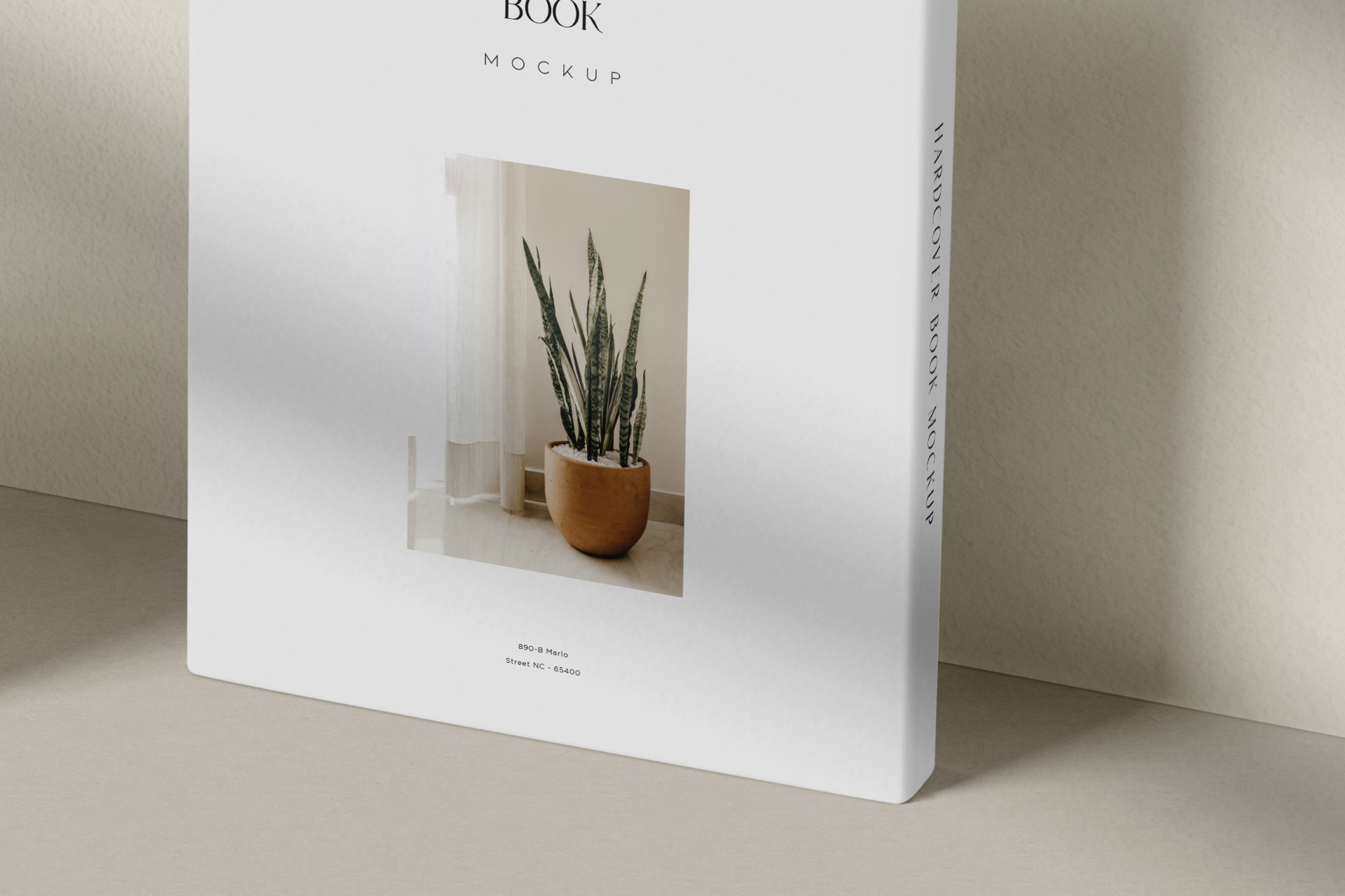 book mockup