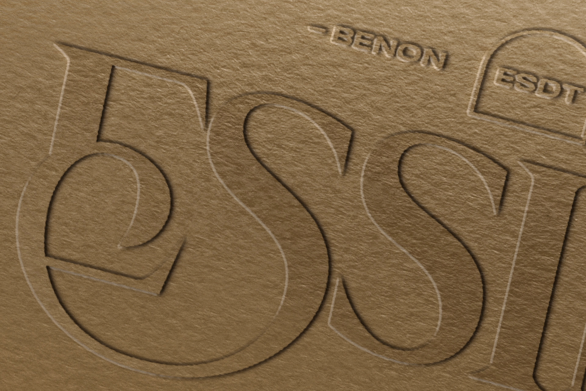 branding logo mockup